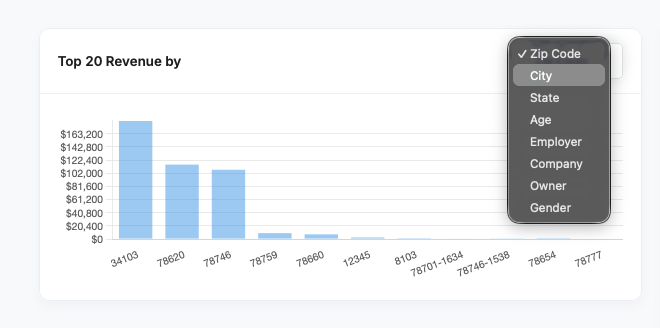 Top 20 Revenue by bar chart of revenue by zip code, with the breakdown menu open listing Zip Code, City, State, Age, Employer, Company, Owner and Gender